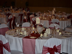 Red Organza Sashes